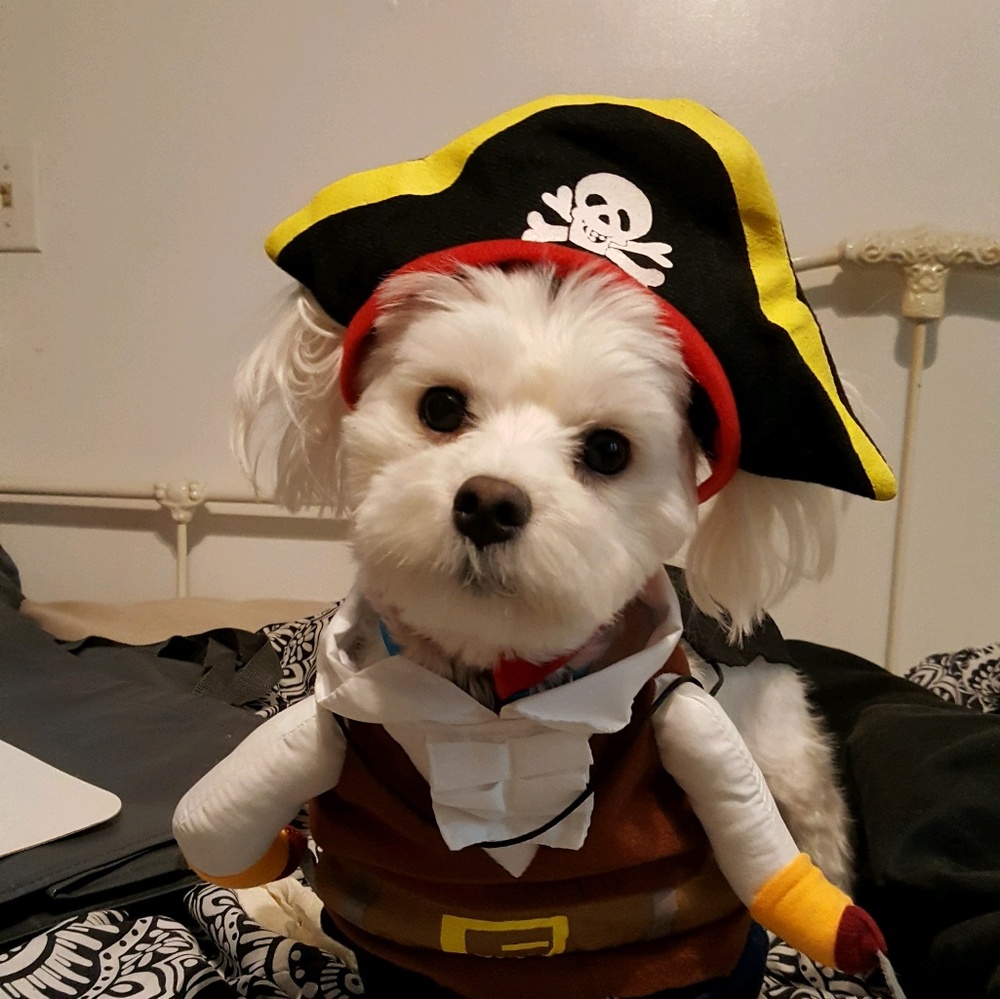 Meet your Posher, Sandra